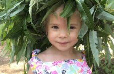 IMG-8334e101bcd8806d4d5c3af169c47046-V